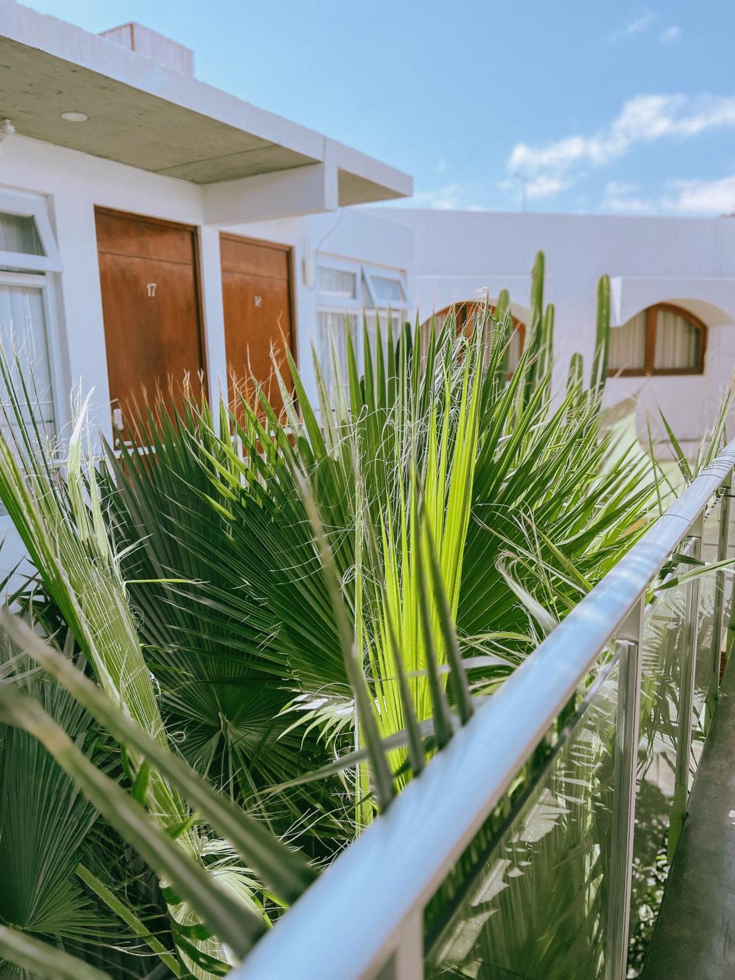 Hotel Puerto Chinchorro Arica Exterior photo